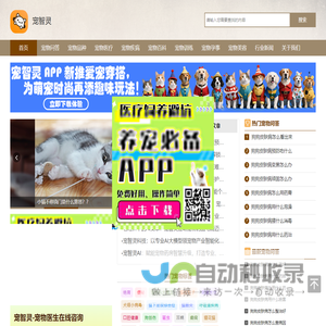 免费宠物医生在线咨询-24小时宠物医院问诊-新手养猫狗异宠